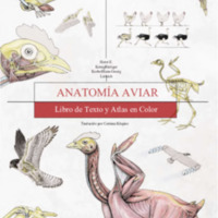 65 Anatomía de las aves.pdf