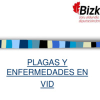 80 enfermedades_plagas_vid.pdf